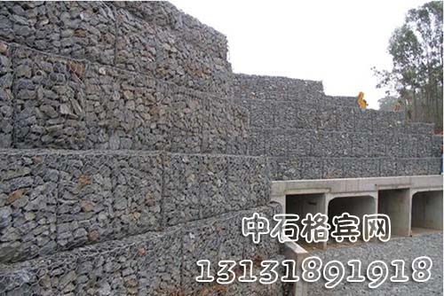 zsshilong99.jpg zsshilong99.jpg