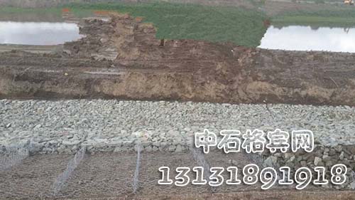 zsshilong113.jpg zsshilong113.jpg