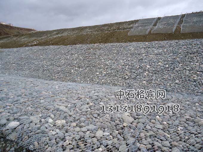 鍍高爾凡雷諾護墊13131891918