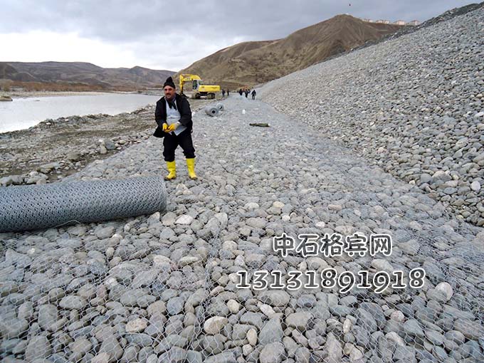 鍍高爾凡雷諾護墊13131891918