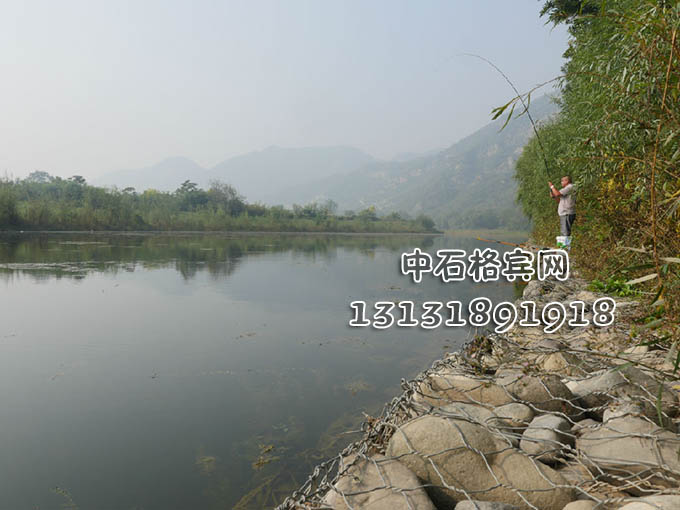 13131891918護岸賓格網廠家