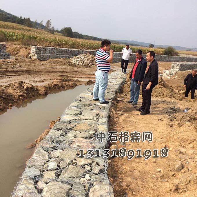 13131891918護岸賓格網價格