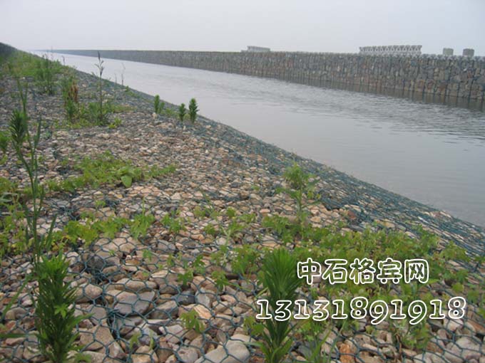雙隔板雷諾護(hù)墊